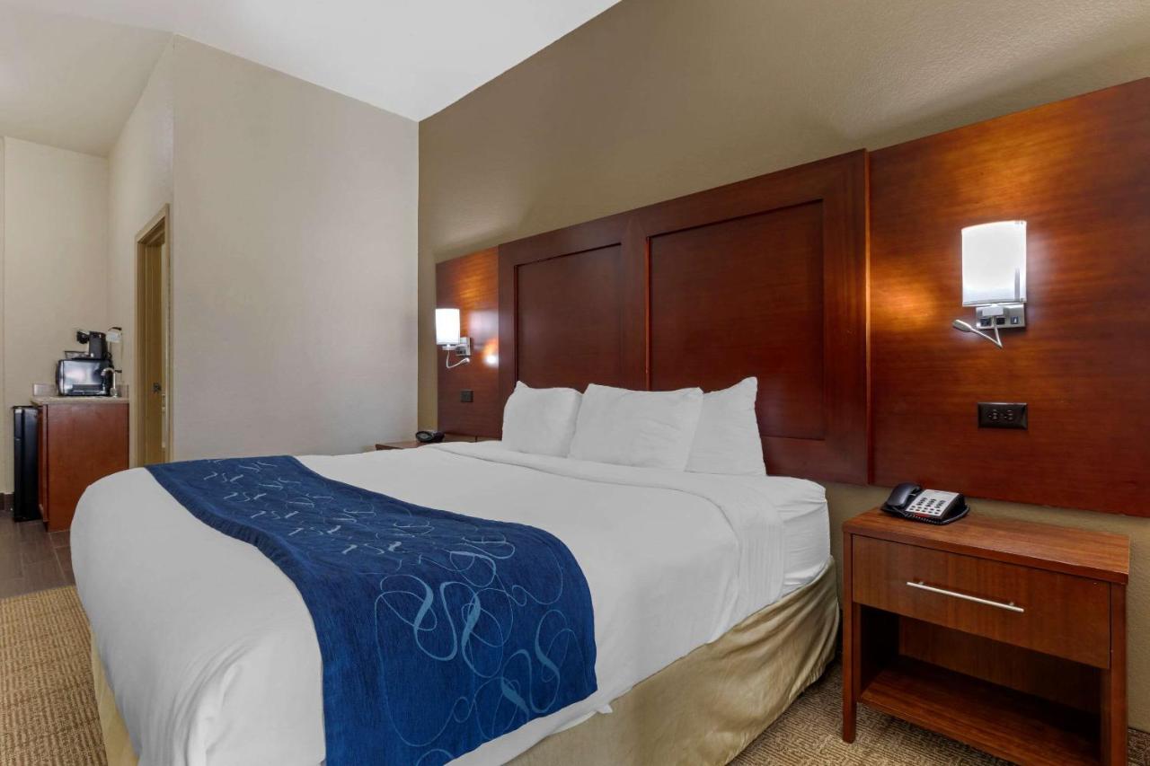 Comfort Suites Ґейнсвілл Екстер'єр фото