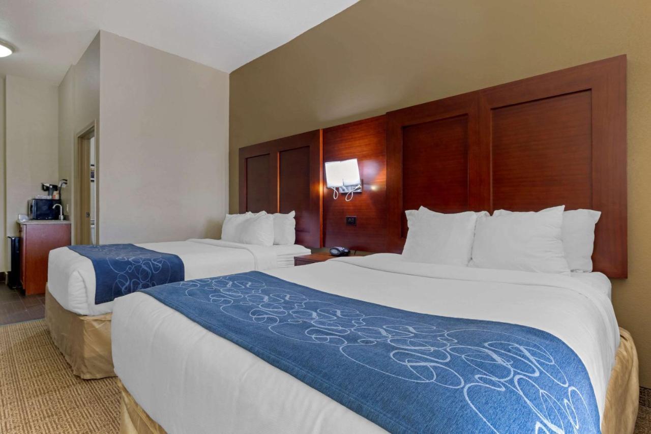 Comfort Suites Ґейнсвілл Екстер'єр фото
