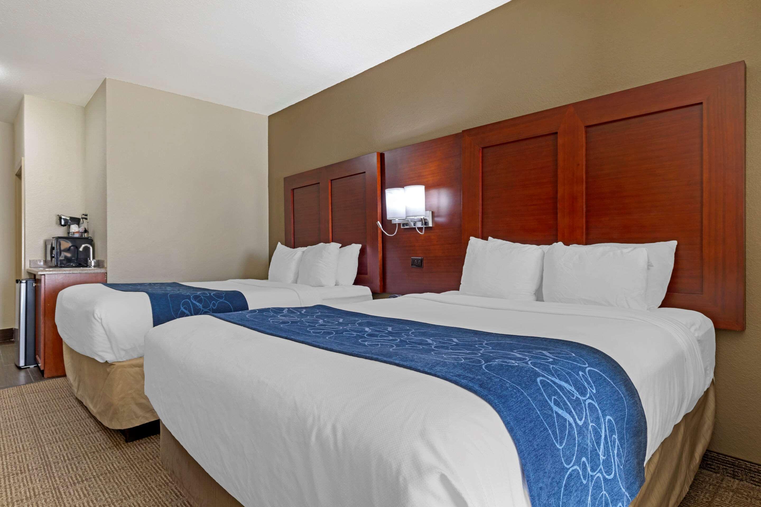Comfort Suites Ґейнсвілл Екстер'єр фото